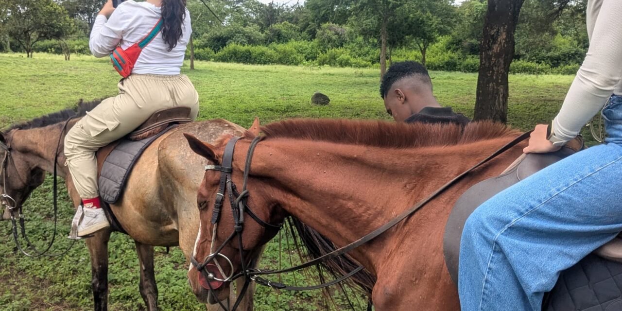 Luxury Horseback Safari Tanzania Guide