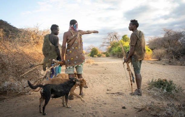 Best 5-Day Northern Tanzania Safari With Hadzabe: Guide 2026-2027