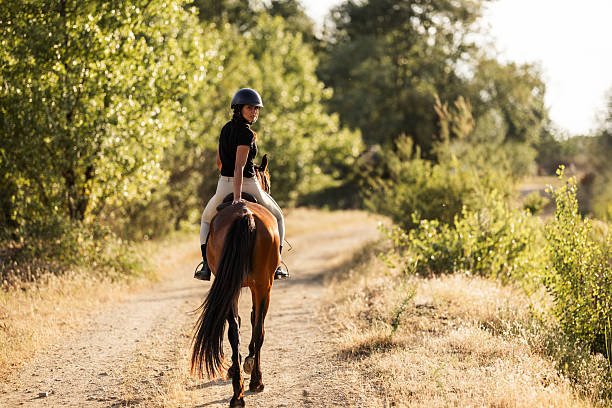Horse Riding Near Lake Natron Tanzania: A Unique Safari Experience 2026-2027