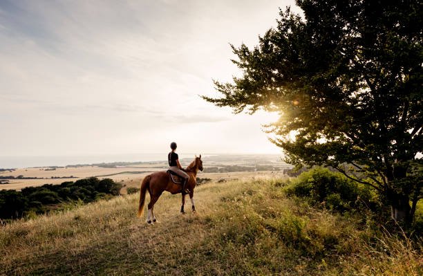 Arusha Horse Riding For Couples: Romantic Adventures In Tanzania 2026-2027