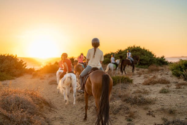 Best Kilimanjaro Horse Riding Experience: A Unique Adventure In 2026-2027