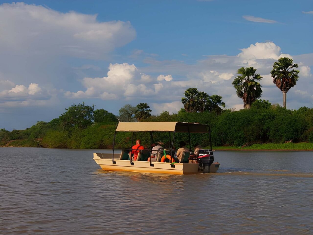 Top-Rated Selous Fly-In Safari From Dar Es Salaam: Your Ultimate Guide