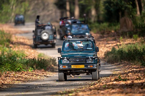 Tanzania Safari And Cycling Package: An Unforgettable Adventure In 2026-2027