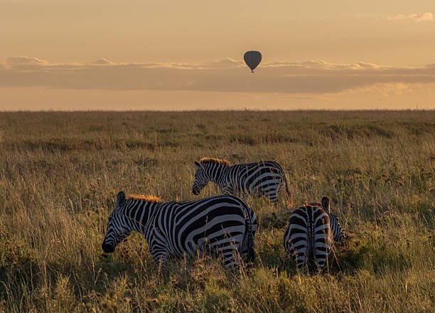 9 Days Tanzania Luxury Safari With Balloon Experience: Ultimate Itinerary