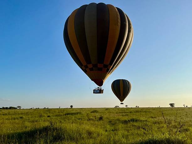 7 Days Great Migration Balloon Safari Tanzania: Your Ultimate Itinerary