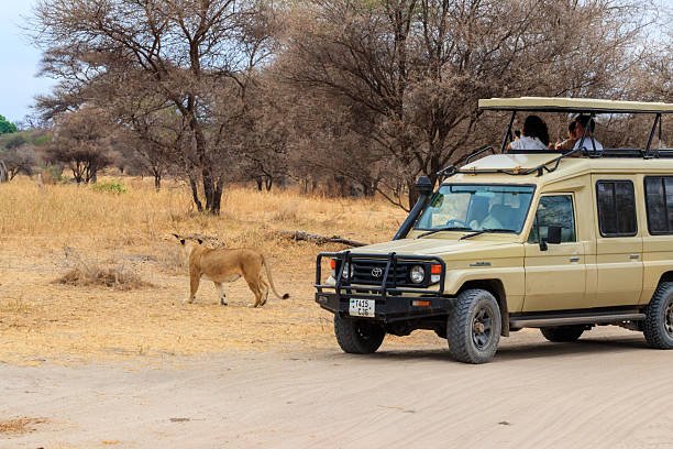 Ruaha Camping Safari Budget: Your Ultimate Guide For 2026-2027