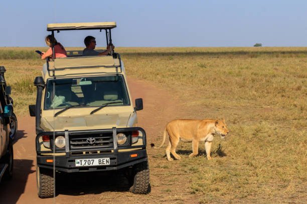 Saadani Safari From Zanzibar Price: Best Guide 2026-2027-2028