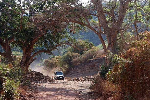 Marangu Waterfall And Kilimanjaro View Tour From Moshi: Expert Trekking Guide