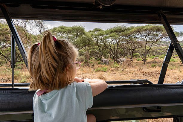 Northern Tanzania Safari From Moshi: Best Guide 2026-2027-2028