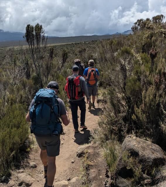 Marangu Route Luxury Climb For Couples: Your Ultimate Kilimanjaro Experience